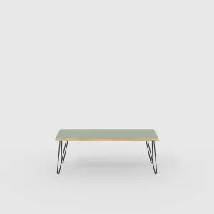 Plywood Bench Seat with Black Hairpin Legs - Formica Green Slate - 1200(w) x 400(d)