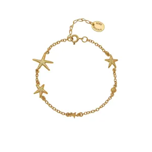 Starfish Constellation Bracelet